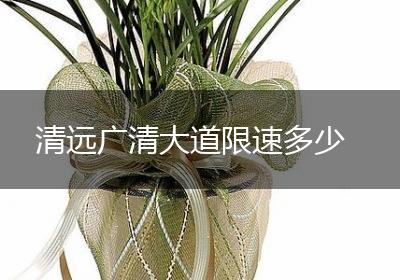 清远广清大道限速多少