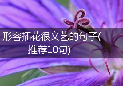 形容插花很文艺的句子(推荐10句)