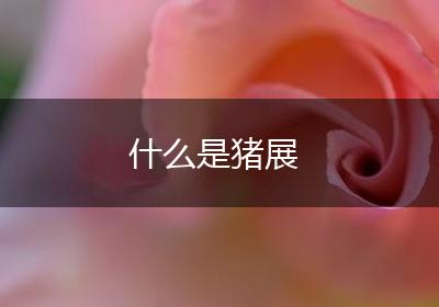 什么是猪展