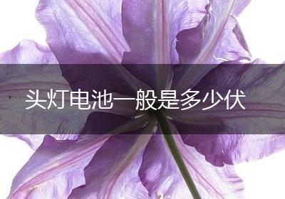 头灯电池一般是多少伏