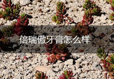 倍瑞傲牙膏怎么样
