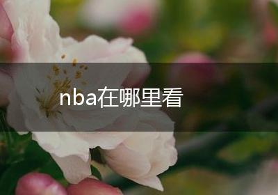 nba在哪里看