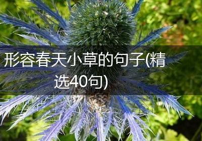 形容春天小草的句子(精选40句)
