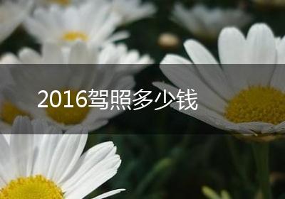 2016驾照多少钱