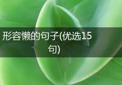 形容懒的句子(优选15句)