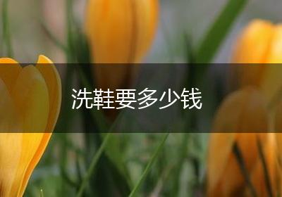 洗鞋要多少钱