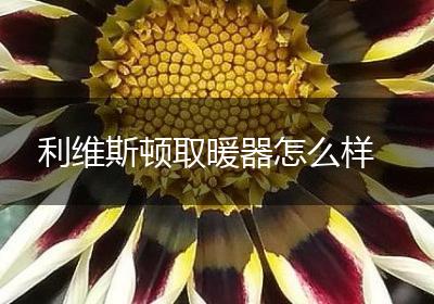 利维斯顿取暖器怎么样