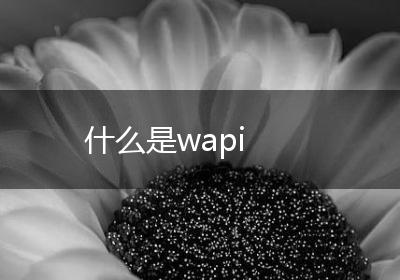 什么是wapi