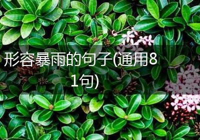 形容暴雨的句子(通用81句)