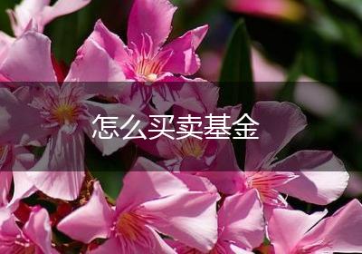 怎么买卖基金