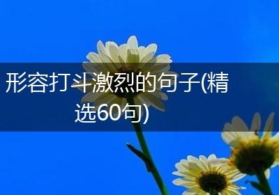 形容打斗激烈的句子(精选60句)