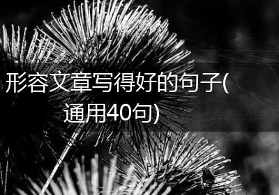 形容文章写得好的句子(通用40句)