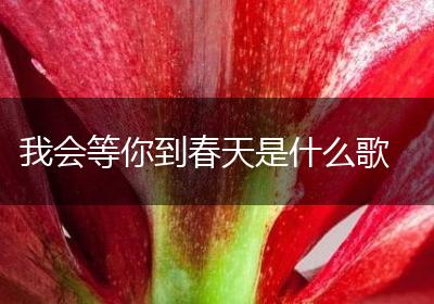 我会等你到春天是什么歌