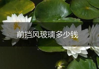 前挡风玻璃多少钱