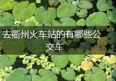 去衢州火车站的有哪些公交车