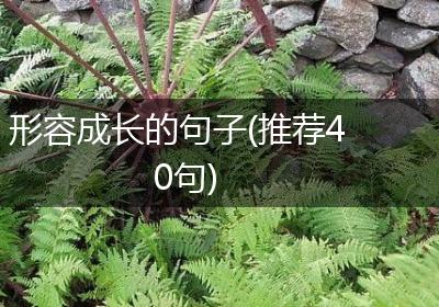 形容成长的句子(推荐40句)
