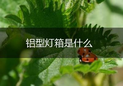 铝型灯箱是什么