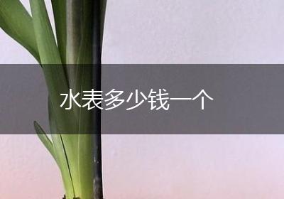 水表多少钱一个