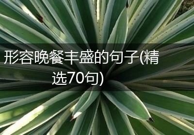 形容晚餐丰盛的句子(精选70句)