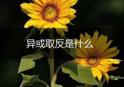 异或取反是什么
