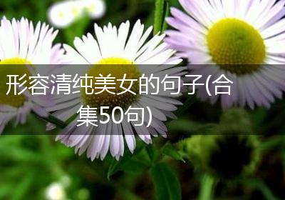 形容清纯美女的句子(合集50句)