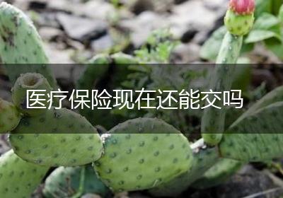医疗保险现在还能交吗