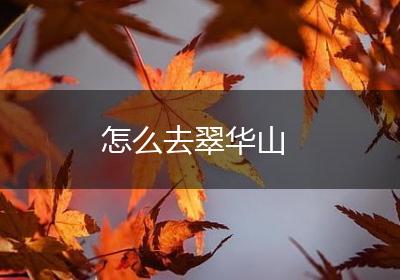 怎么去翠华山
