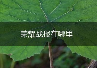 荣耀战报在哪里