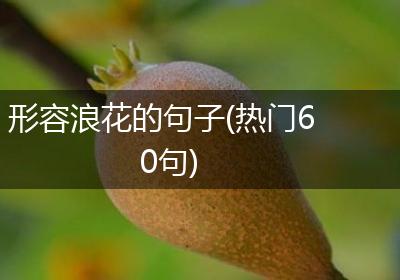 形容浪花的句子(热门60句)