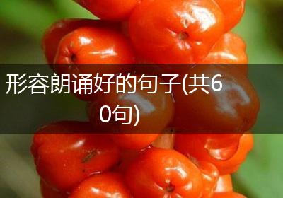形容朗诵好的句子(共60句)