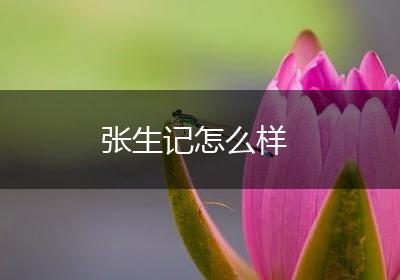 张生记怎么样