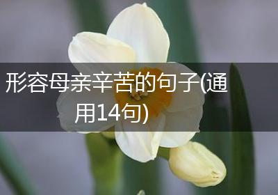 形容母亲辛苦的句子(通用14句)