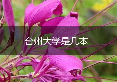 台州大学是几本
