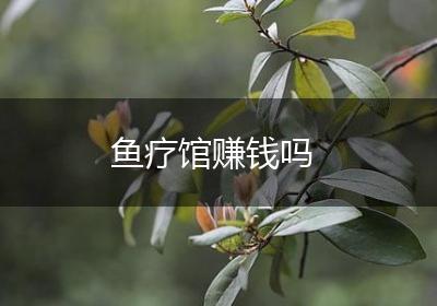 鱼疗馆赚钱吗