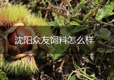 沈阳众友饲料怎么样