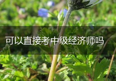 可以直接考中级经济师吗