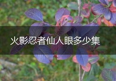 火影忍者仙人眼多少集