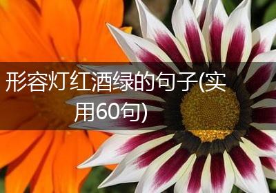 形容灯红酒绿的句子(实用60句)