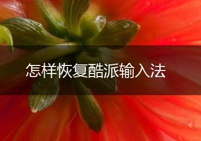 怎样恢复酷派输入法
