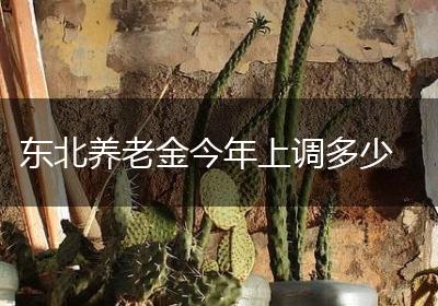 东北养老金今年上调多少