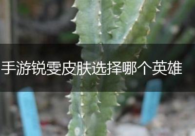 手游锐雯皮肤选择哪个英雄