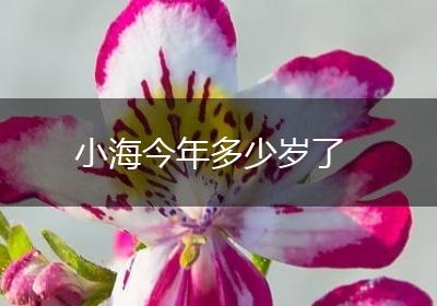 小海今年多少岁了