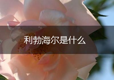 利勃海尔是什么