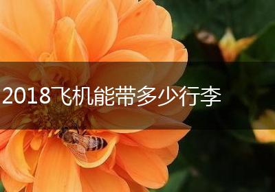 2018飞机能带多少行李