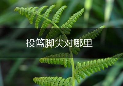 投篮脚尖对哪里