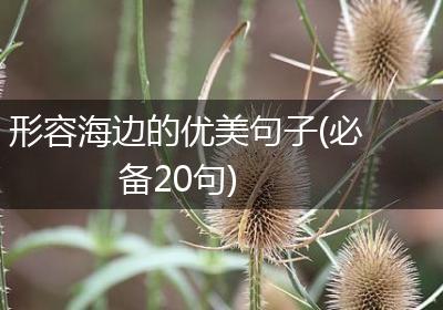 形容海边的优美句子(必备20句)