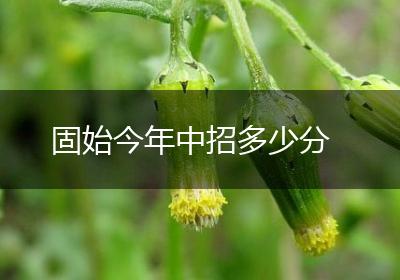 固始今年中招多少分
