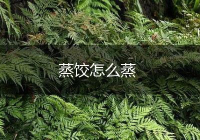 蒸饺怎么蒸