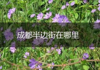 成都半边街在哪里