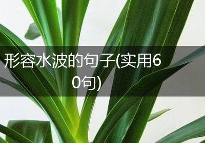 形容水波的句子(实用60句)